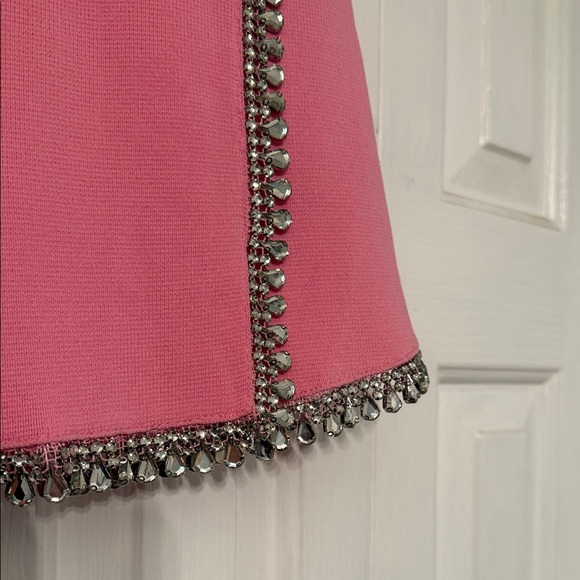 Zara Pink Mini Skirt with Silver Accents - Picture 3 of 7